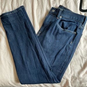 Everlane Skinny Jean 31x27